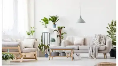 Screenshot of Non-Delivery scam website Forcefurniture.com