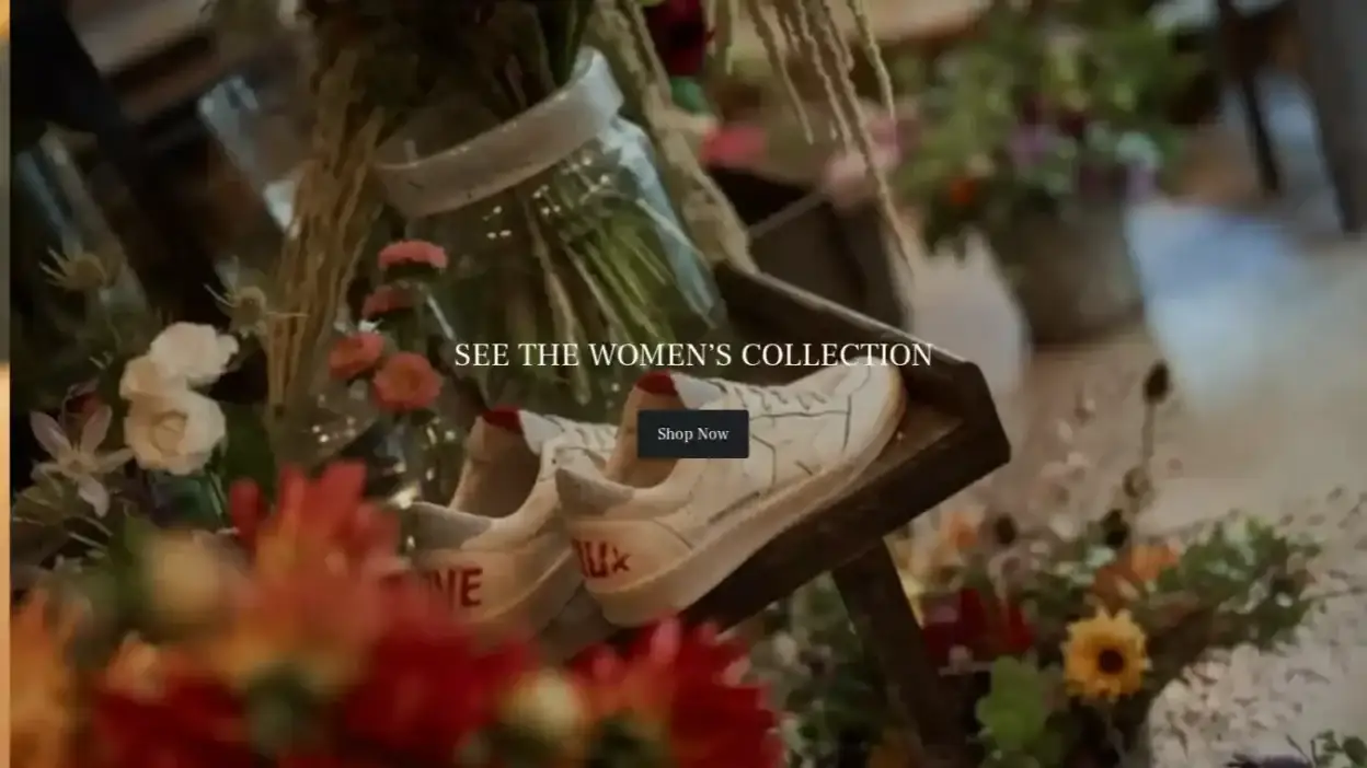 Screenshot of Non-Delivery scam website Fr-goldengoose.com