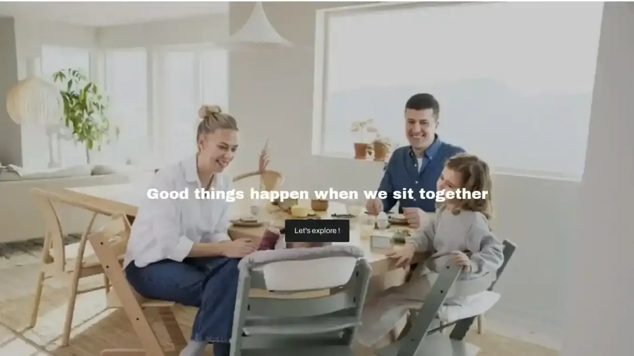 Screenshot of Non-Delivery scam website Fr-stokke.com