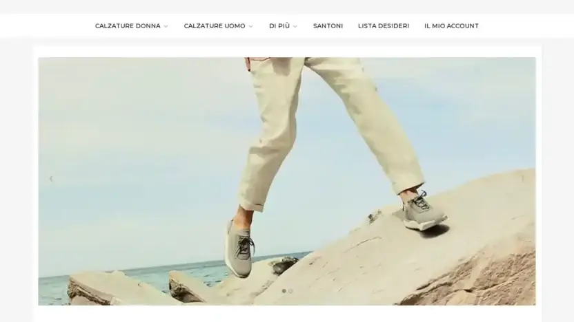 Screenshot of Non-Delivery scam website Francescagiorgini.com