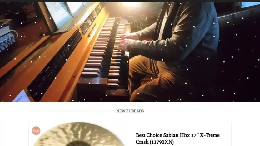 Screenshot of Non-Delivery scam website Fretboardfusion.com