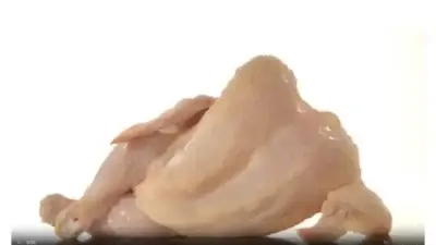 Screenshot of Non-Delivery scam website Frozenmeatsolutions.com