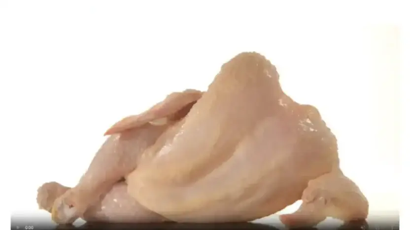 Screenshot of Non-Delivery scam website Frozenmeatsolutions.com