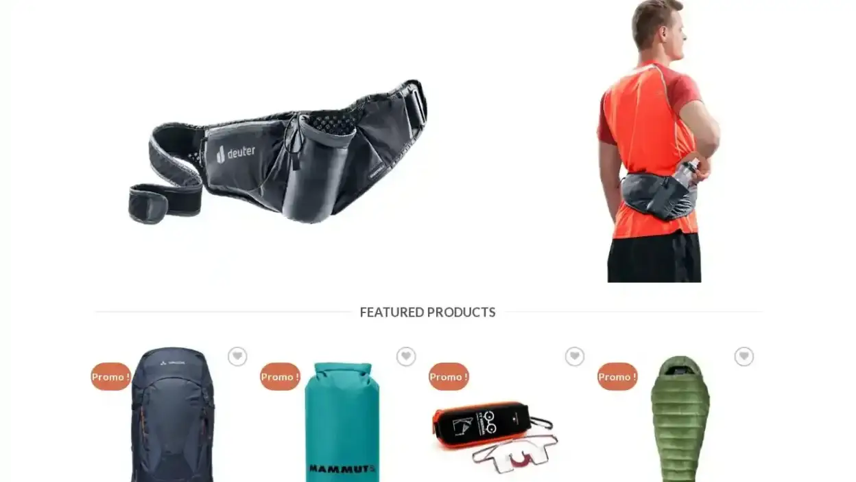 Screenshot of Non-Delivery scam website Frpleinair.com