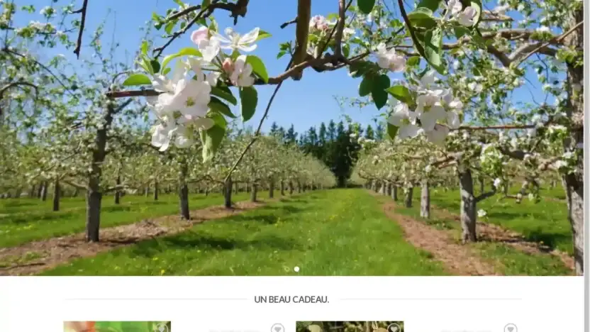 Screenshot of Non-Delivery scam website Fruitiersboutique.com