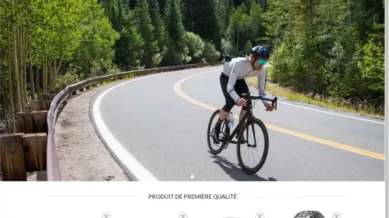 Screenshot of Non-Delivery scam website Frvelosportif.com