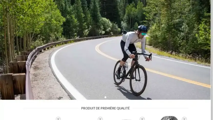 Screenshot of Non-Delivery scam website Frvelosportif.com