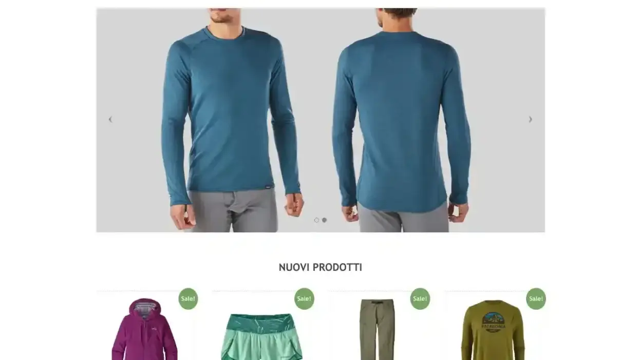 Screenshot of Non-Delivery scam website Gabbyscirica.com