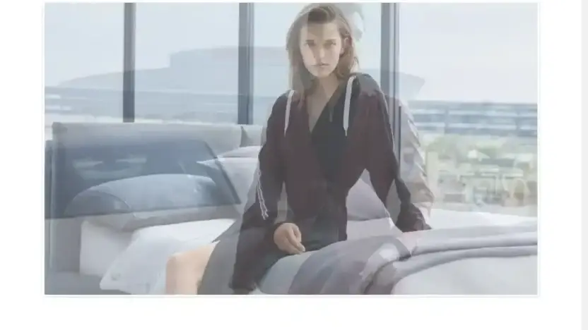 Screenshot of Non-Delivery scam website Gaellemohr.com