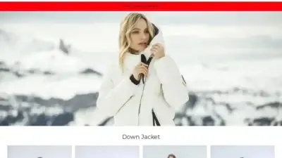 Screenshot of Non-Delivery scam website Garmentshopa.com