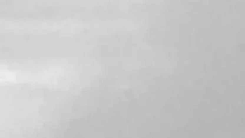 Screenshot of Automobile scam website Genemartinautosales.com