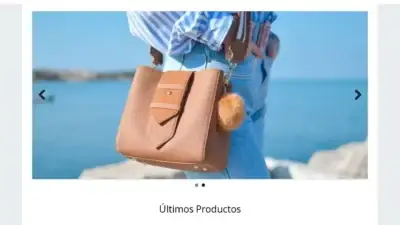 Screenshot of Non-Delivery scam website Gerdavanrijnberk.com