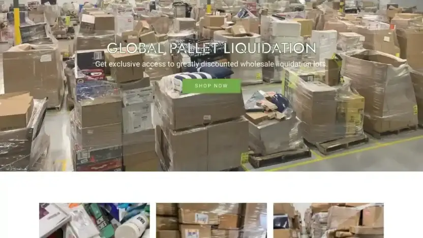 Screenshot of Liquidation scam website Globapall.com