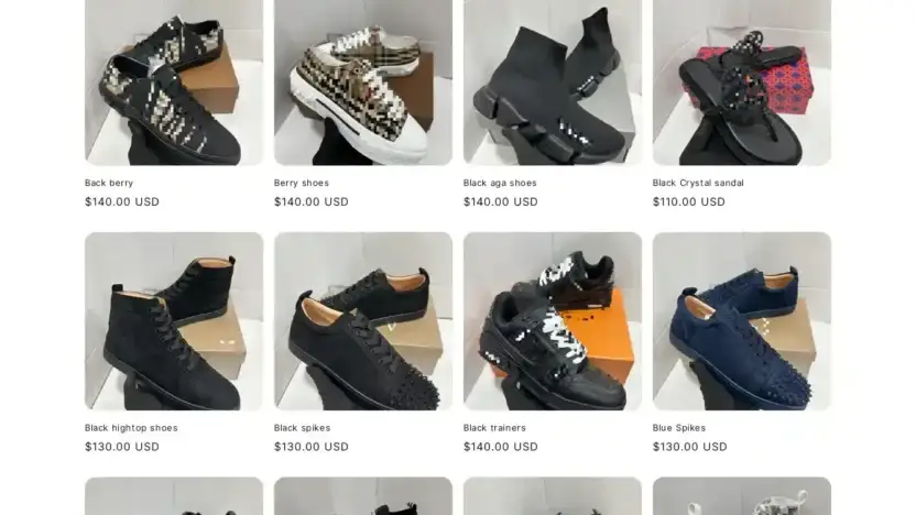 Screenshot of Fashion scam website Goddessshoescabinet.com