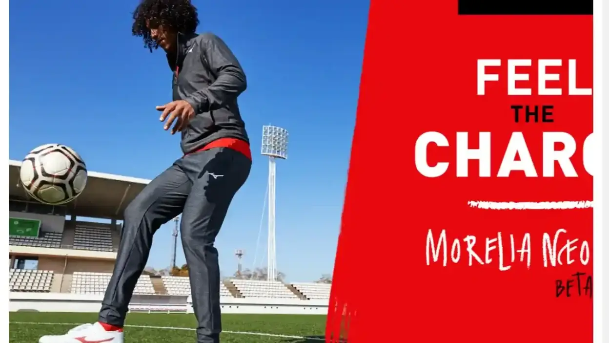 Screenshot of Non-Delivery scam website Goodmizuno.com