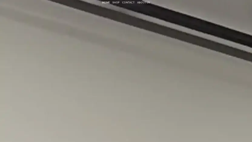 Screenshot of Non-Delivery scam website Gymequipmentoutlet.com