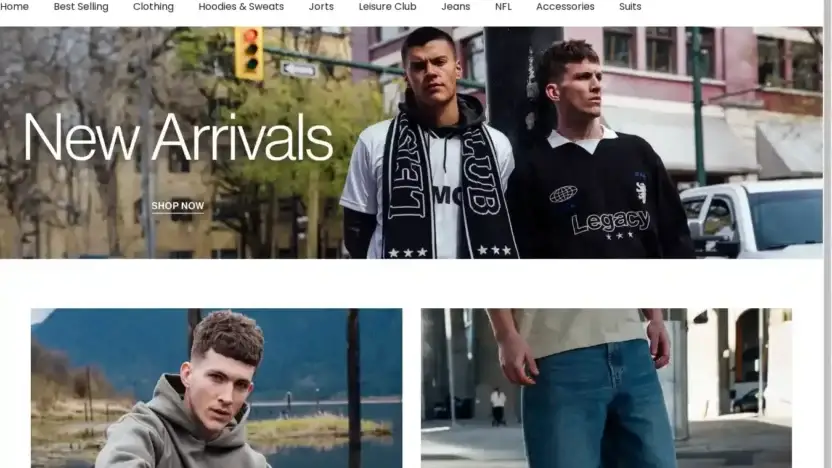 Screenshot of Non-Delivery scam website Hallensteinsnz.store
