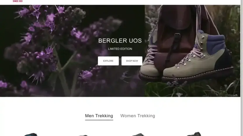 Screenshot of Non-Delivery scam website Hanwag-eu.shop