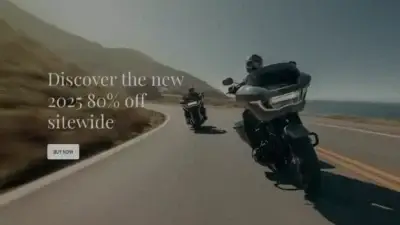 Screenshot of Non-Delivery scam website Harleyvipstore.shop