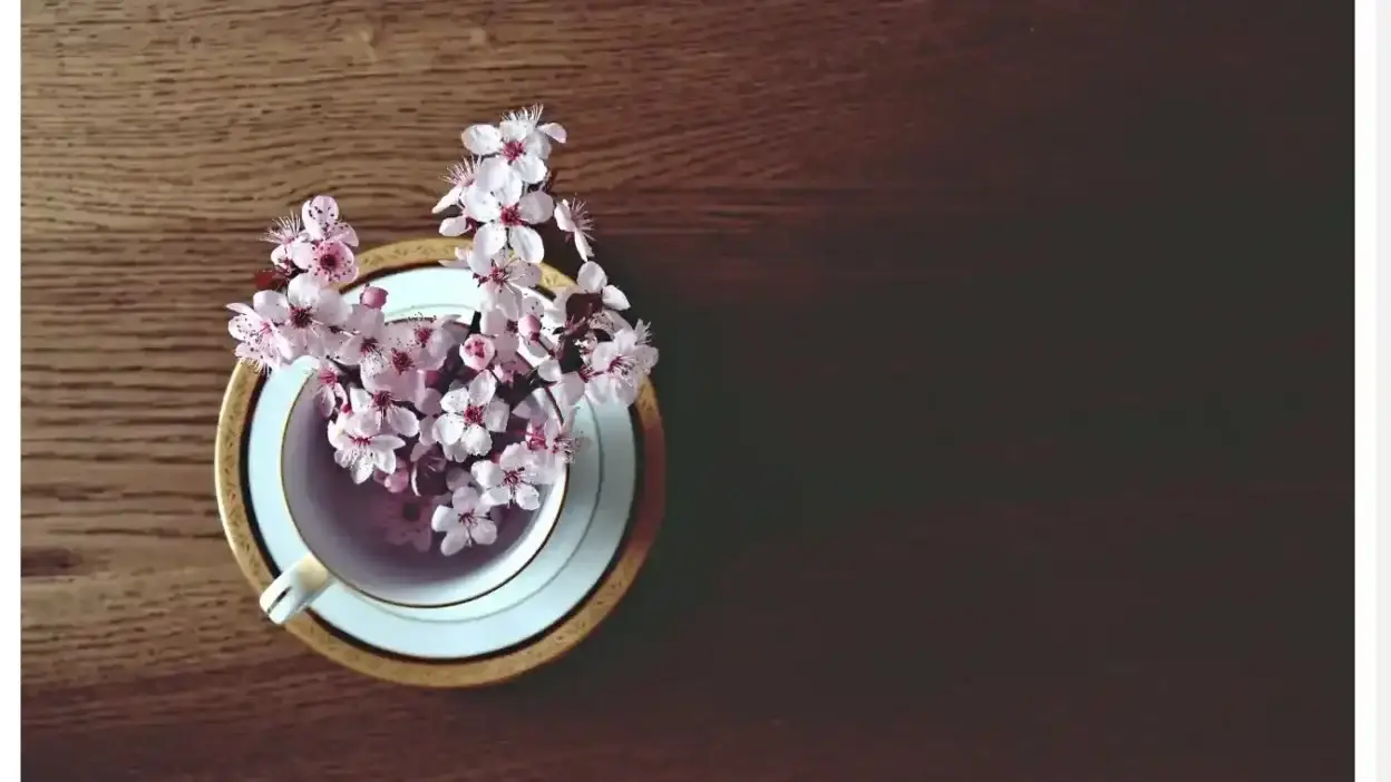 Screenshot of Non-Delivery scam website Harmonywellnessonline.com