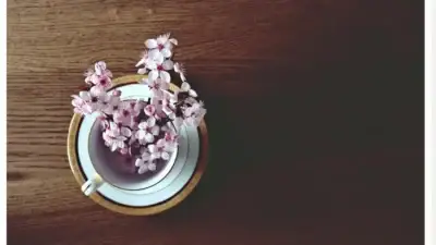 Screenshot of Non-Delivery scam website Harmonywellnessonline.com