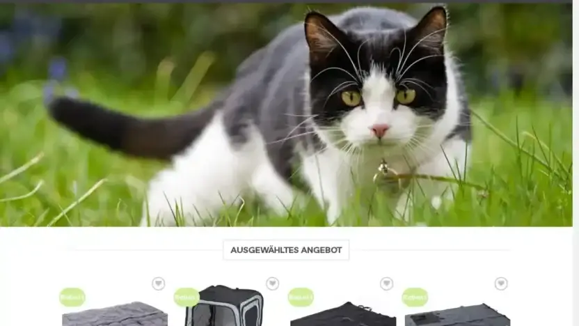 Screenshot of Non-Delivery scam website Haustierrabatt.com