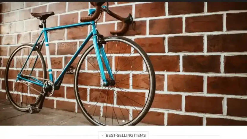 Screenshot of Sport scam website Hcbikeopt.com