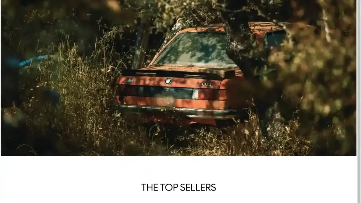 Screenshot of Non-Delivery scam website Herecarsequip.com