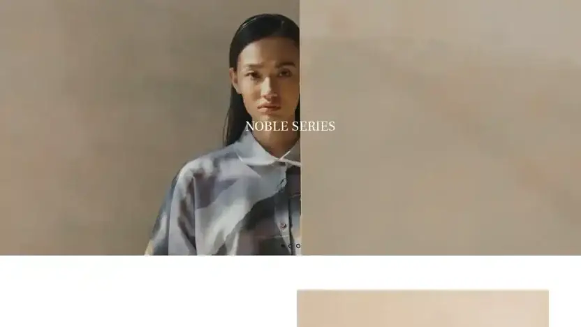 Screenshot of Non-Delivery scam website Hexijewellery.com