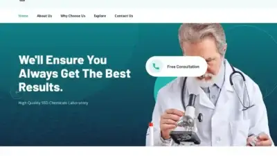 Screenshot of Non-Delivery scam website Highqualityssdchemicalslaboratory.com