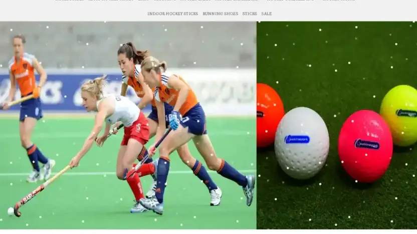 Screenshot of Sport scam website Hockeysalesus.com