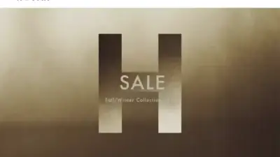 Screenshot of Non-Delivery scam website Hoganstore.com