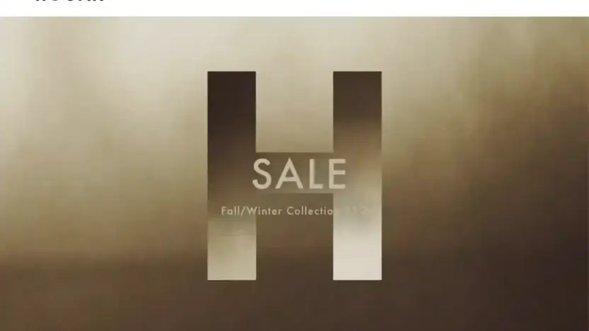 Screenshot of Non-Delivery scam website Hoganstore.com