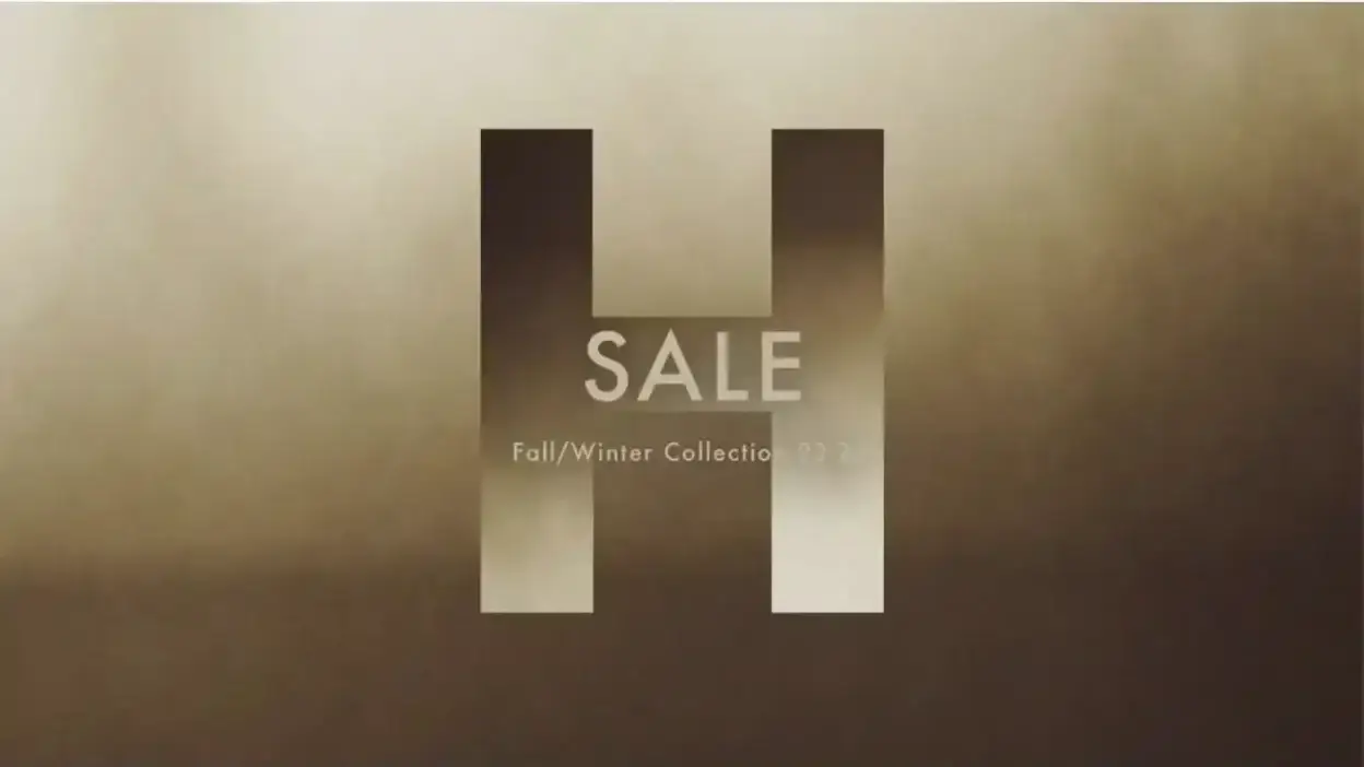 Screenshot of Non-Delivery scam website Hoganstore.shop