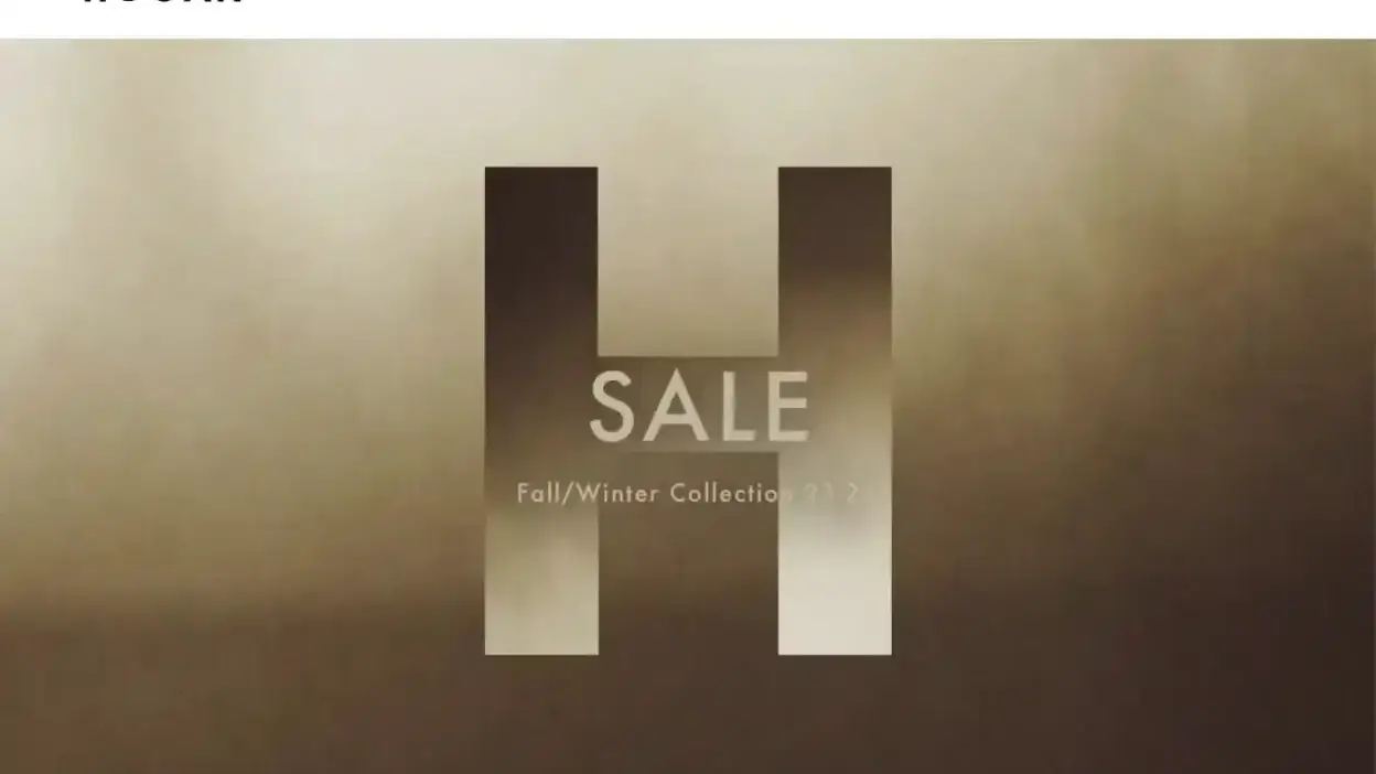 Screenshot of Non-Delivery scam website Hoganvipshop.com