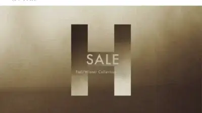 Screenshot of Non-Delivery scam website Hoganvipshop.com