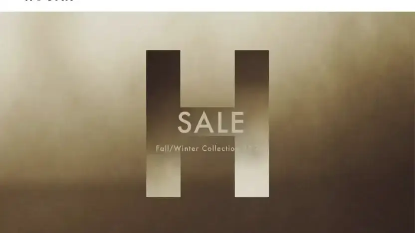 Screenshot of Non-Delivery scam website Hoganvipshop.com