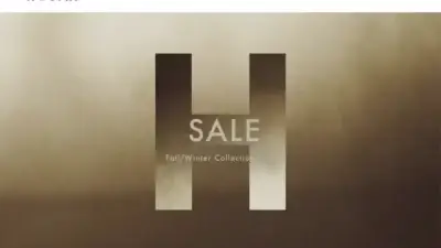 Screenshot of Non-Delivery scam website Hoganvvip.com