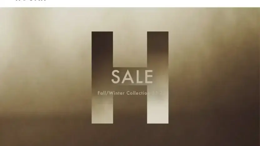 Screenshot of Non-Delivery scam website Hoganvvip.com