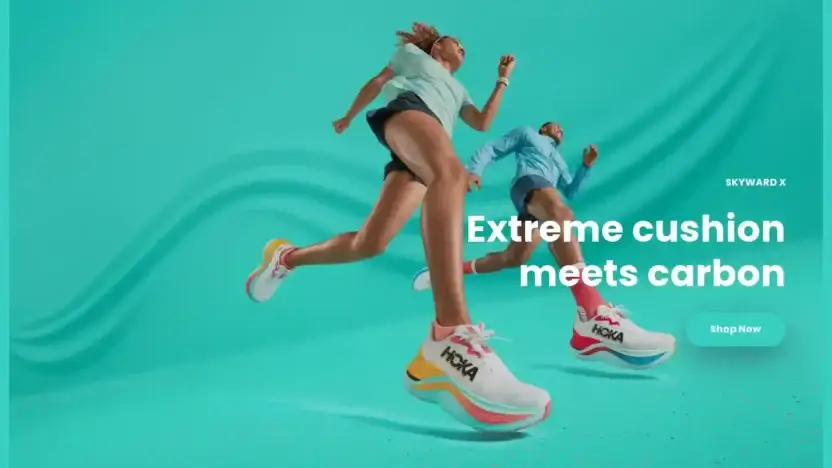 Screenshot of Non-Delivery scam website Hokaeu.store