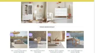 Screenshot of Non-Delivery scam website Holzmobelnde.com