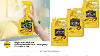 Screenshot of Non-Delivery scam website Homewareorder.com