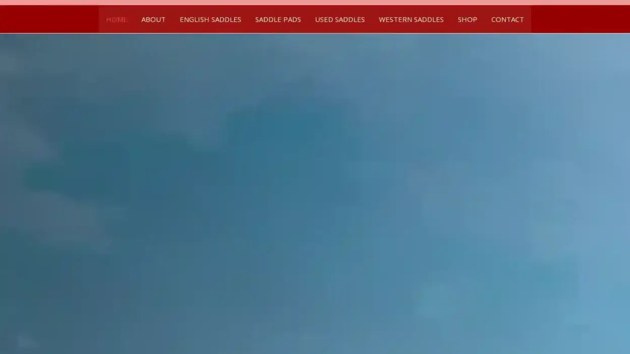 Screenshot of Sport scam website Horsesaddlestackshop.com