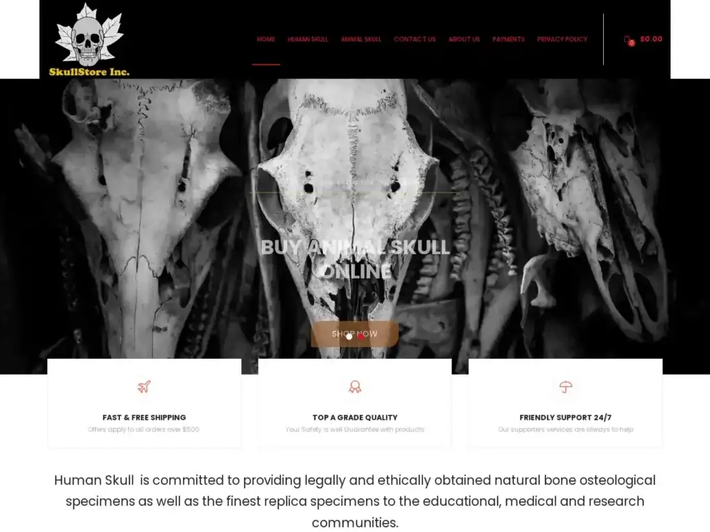 humanskullshop-com Alternative Text