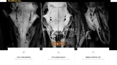 Screenshot of Non-Delivery scam website Humanskullshop.com