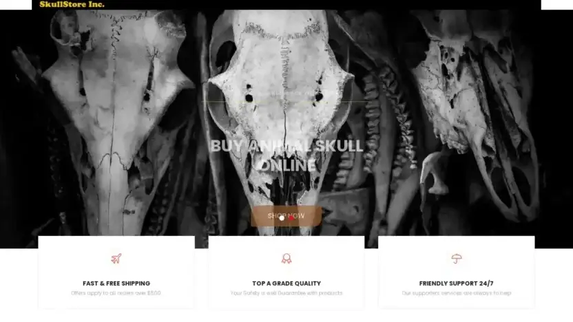 Screenshot of Non-Delivery scam website Humanskullshop.com