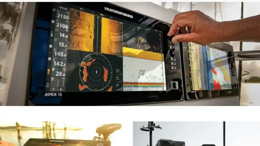 Screenshot of Non-Delivery scam website Humminbirdus.shop