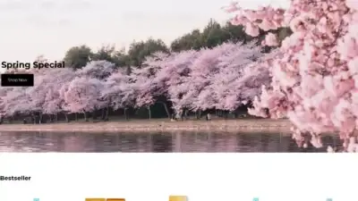 Screenshot of Non-Delivery scam website Incensesoulmate.com