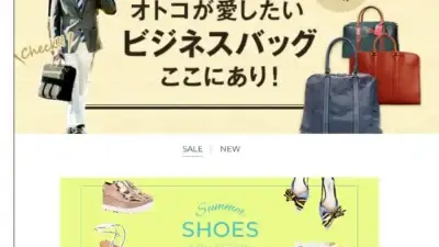 Screenshot of Non-Delivery scam website Ingaimer.shop