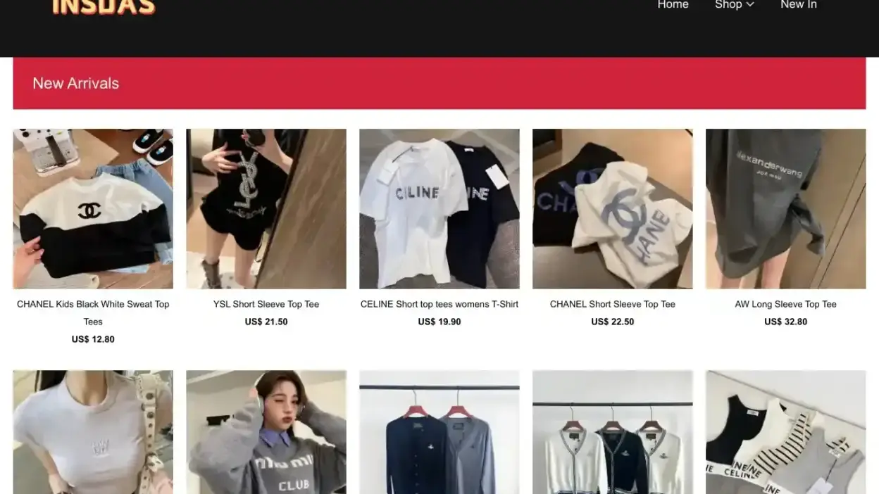 Screenshot of Non-Delivery scam website Insdas.com